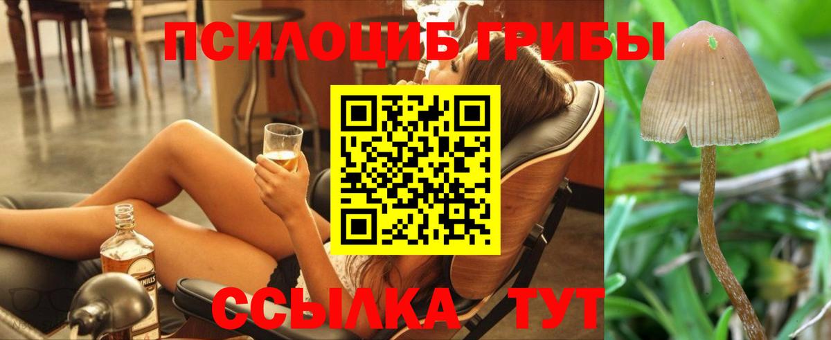 Галлюциногенные грибы Psilocybine cubensis Рыбинск